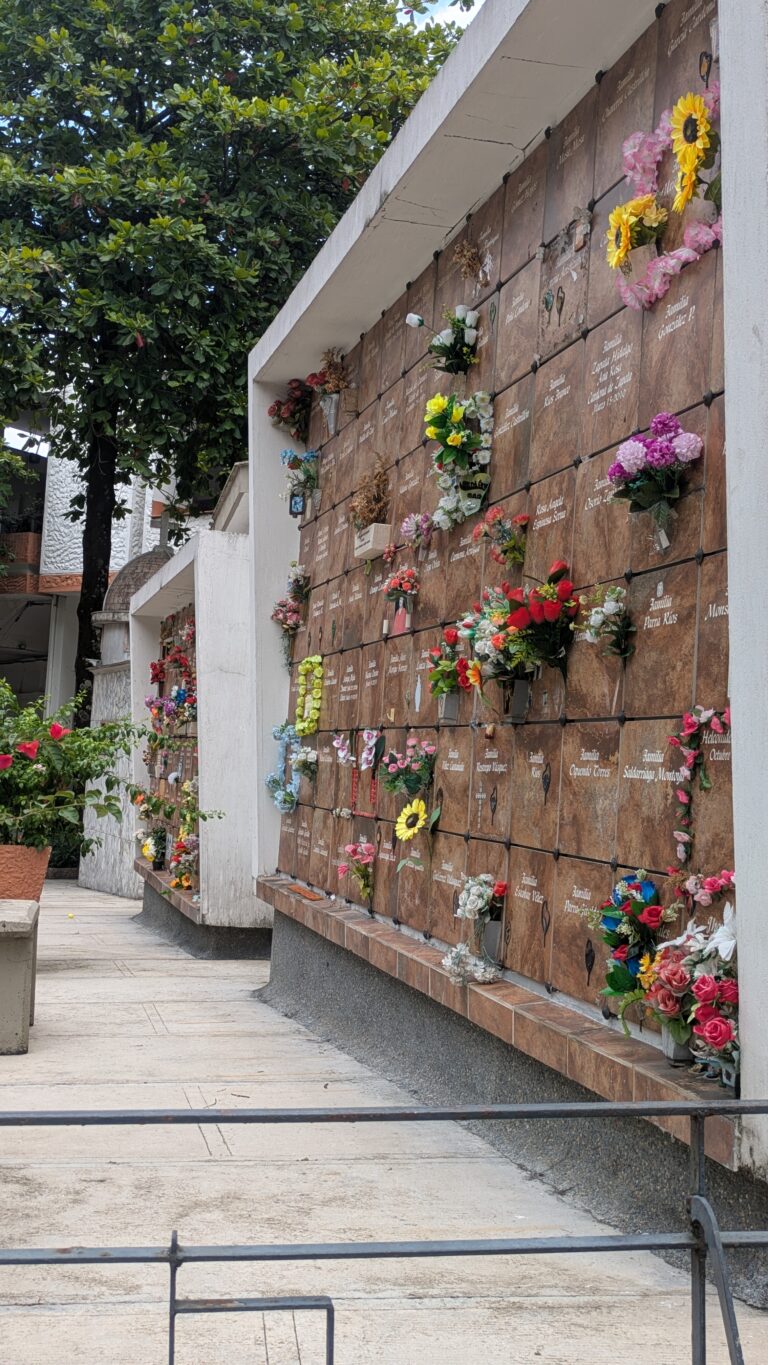 Servicio de exhumacion