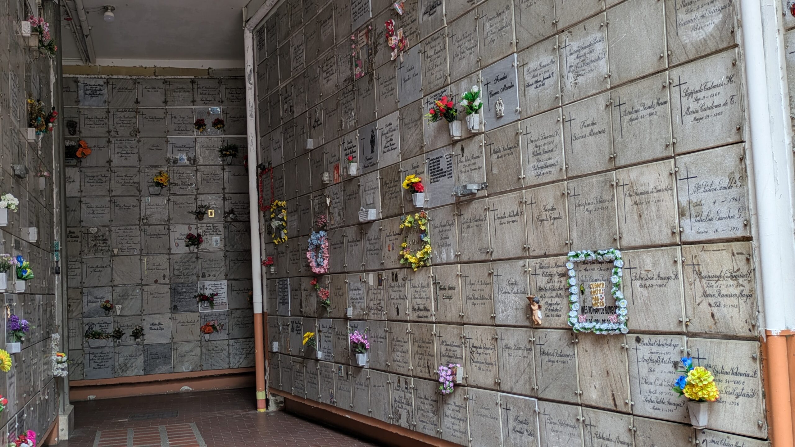 Servicio de exhumacion