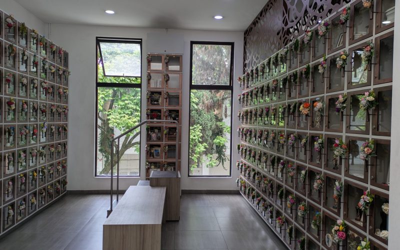 PXL_20260307_160201996.RAW-01.COVER